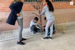 25N, Día Internacional de la Eliminación de la Violencia contra las Mujeres